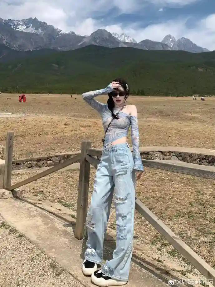 飞鸟软件下载界面示例